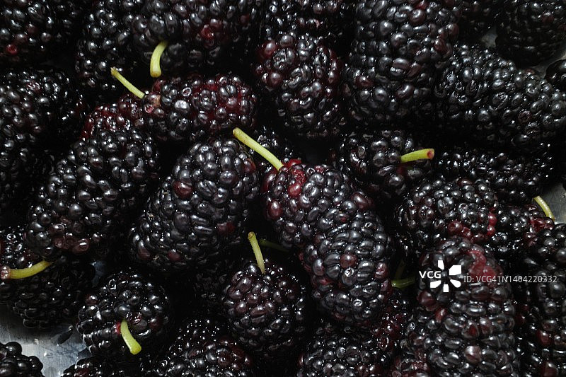 浸泡在水中的桑葚图片素材