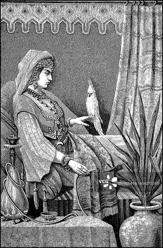 来自伊拉克巴格达的贵族阿拉伯妇女与鹦鹉和水烟斗，19世纪的妇女，历史，19世纪原件的数字化修复复制品图片素材