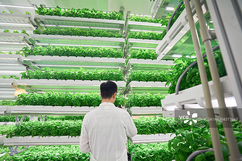 年轻男人站在垂直农场图片素材