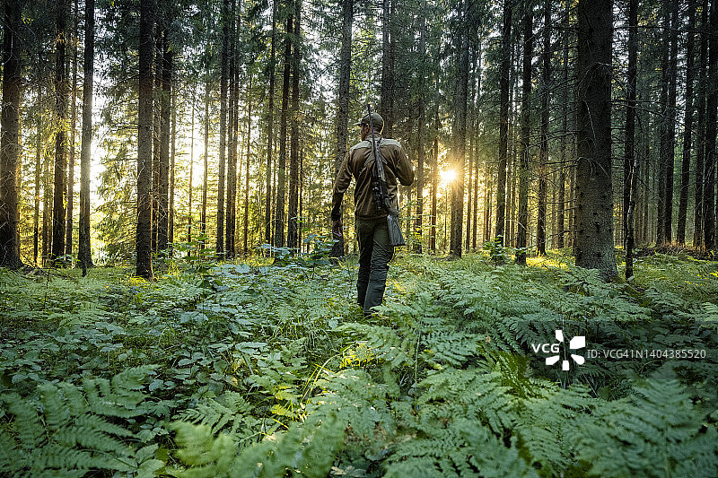 猎人穿过森林图片素材