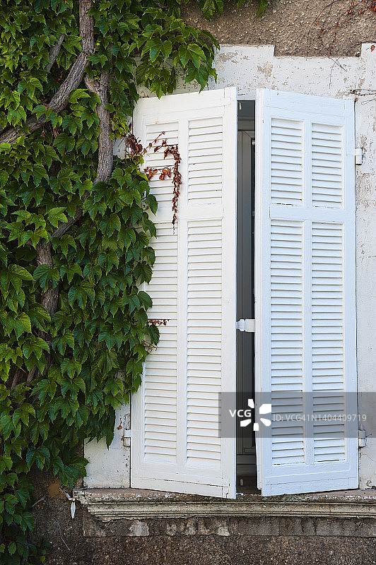 法国锡斯特龙的窗户和攀缘植物图片素材