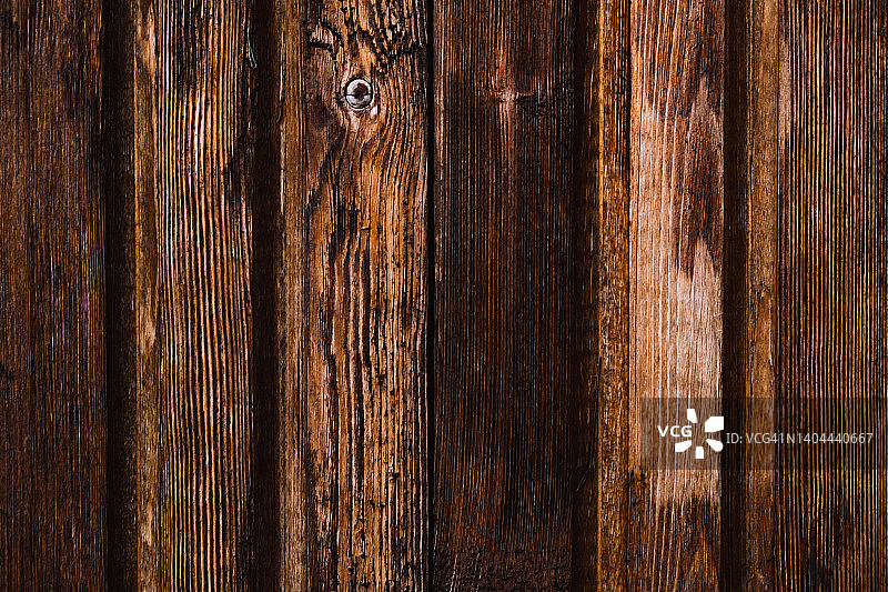 老木的背景图片素材