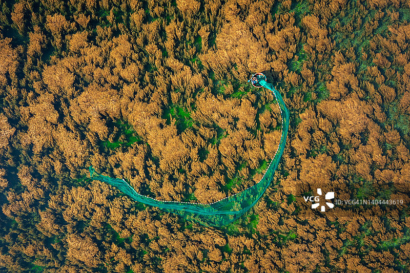 在海藻区捕鱼图片素材