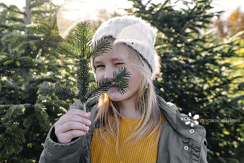 在圣诞树农场，女孩拿着冷杉树枝眨眼图片素材