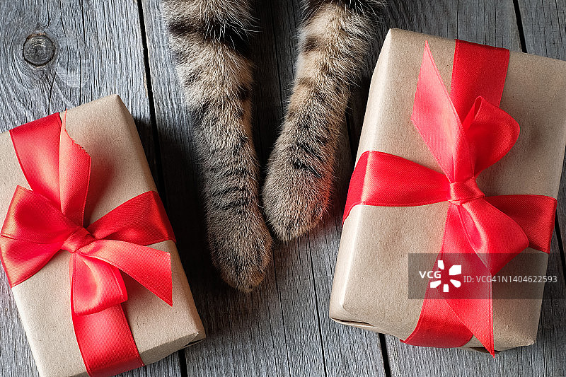 灰色条纹英国猫或小猫的可爱爪子，木制背景，旁边是用红色蝴蝶结或丝带系着的礼物，宠物驯养、收容所领养、折扣和促销、情人节、世界动物保护日概念图片素材