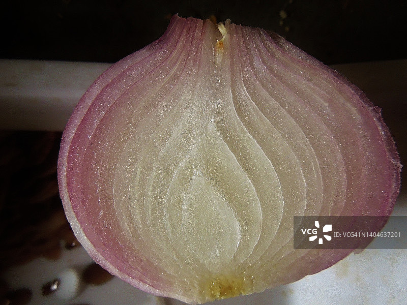 洋葱竖切面，展现美丽的自然线条图案。图片素材
