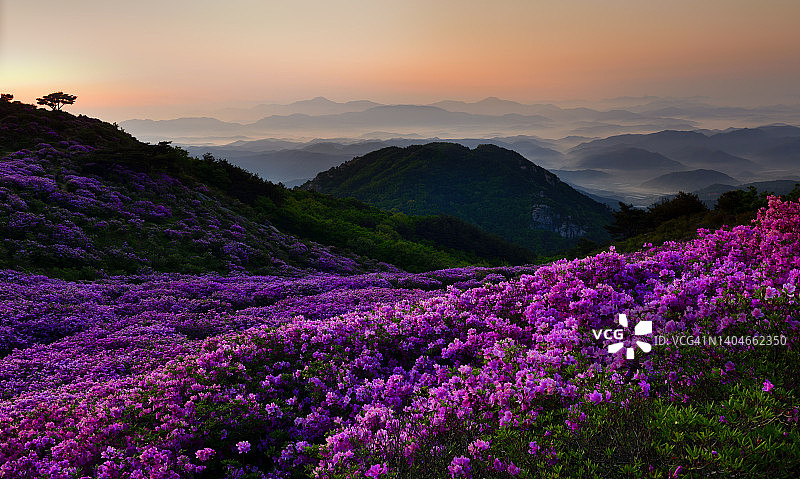 韩国陕川郡皇梅山图片素材