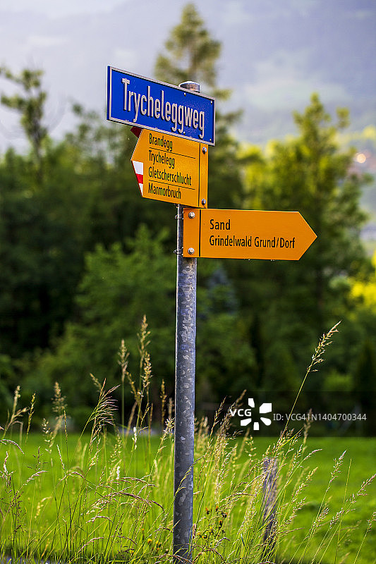 格林德瓦的绿色远足径标志图片素材