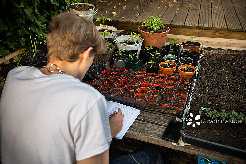 年轻男人照料他的幼苗图片素材