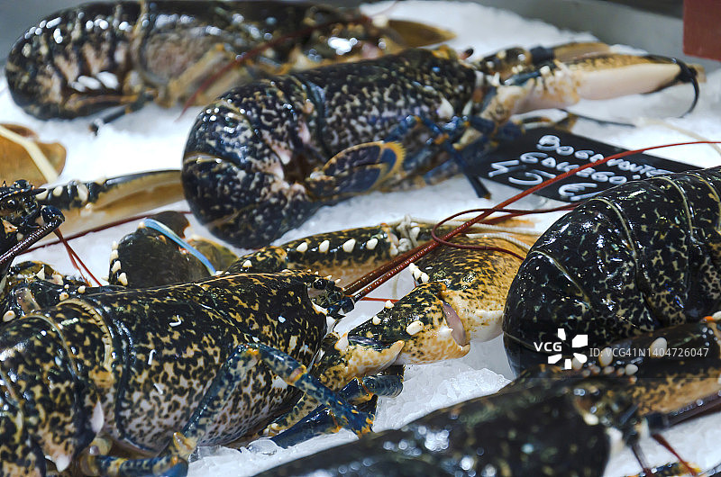 当地市场出售新鲜的蓝色龙虾图片素材