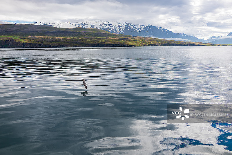 冰岛Eyjafjordur峡湾风光图片素材