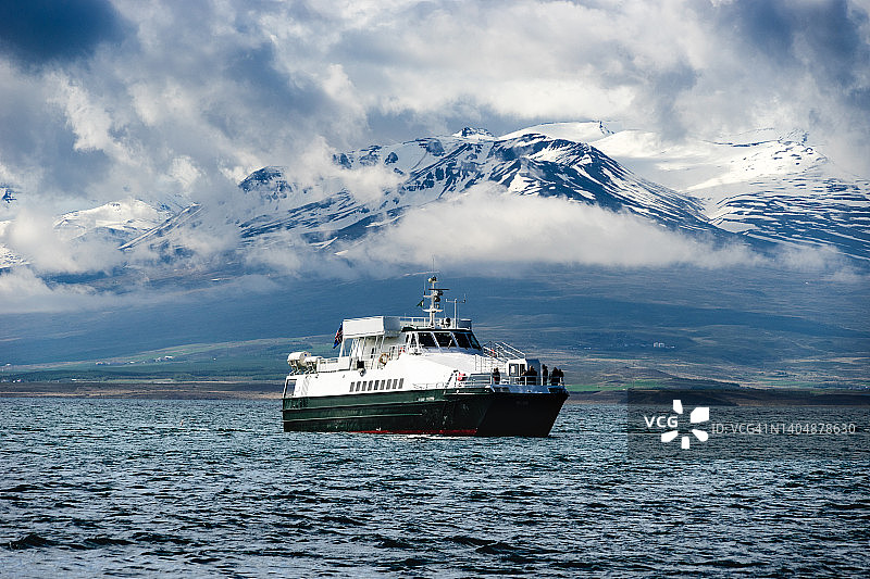 在冰岛北部埃亚峡湾用于观鲸的船只，天气平静晴朗图片素材
