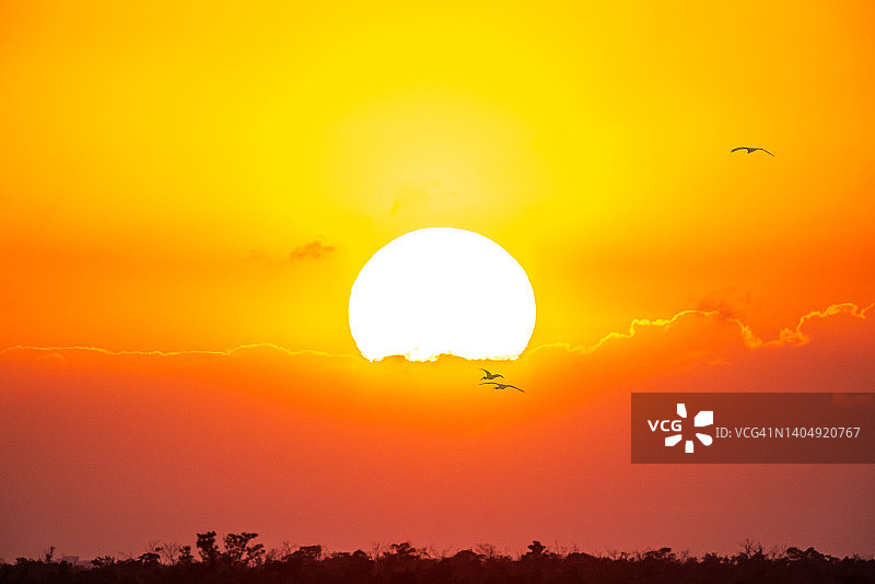 大沼泽地落日图片素材