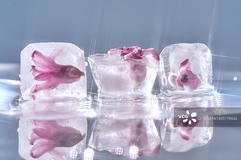 带有美丽四角高光的鲜花融化冰。美丽的背景图片素材