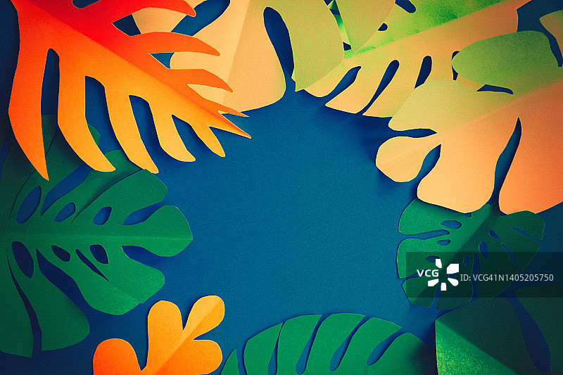 热带纸叶图片素材