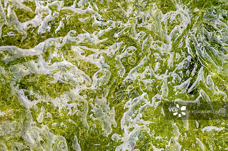 藻类抽象景观图片素材