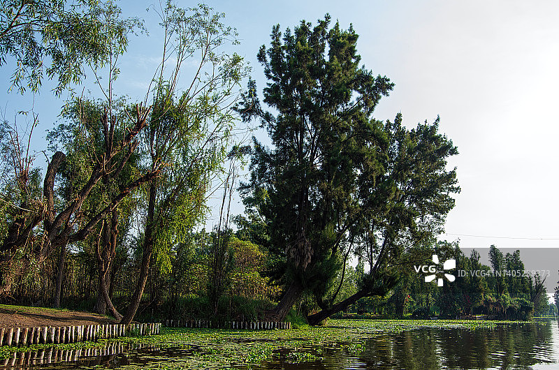 墨西哥霍奇米尔科的奇南帕和运河图片素材