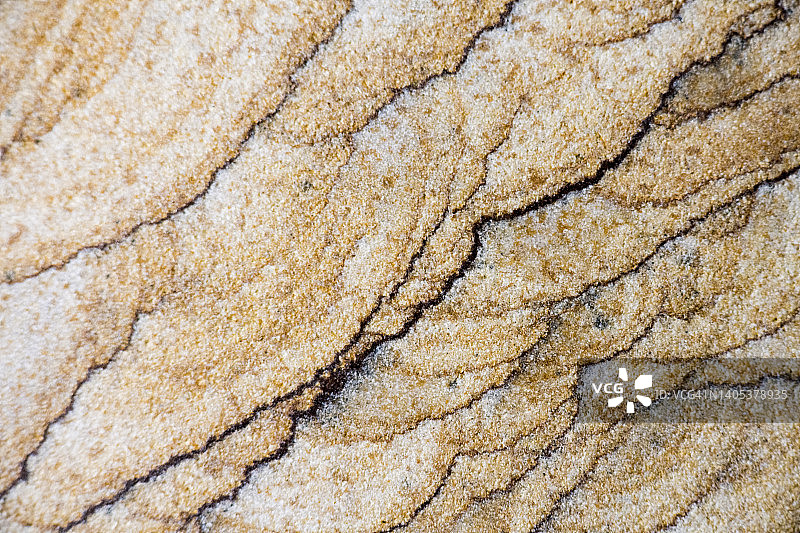 层叠的弧形石化沙丘线条图片素材