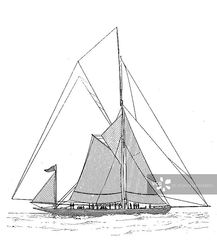 古董插画：三叶草图片素材