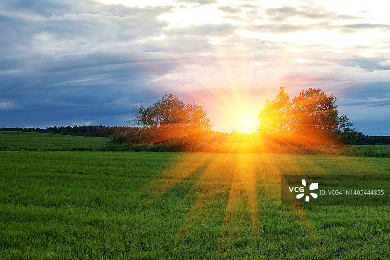 田野草甸牧场上空的大型橙色日落背景图片素材