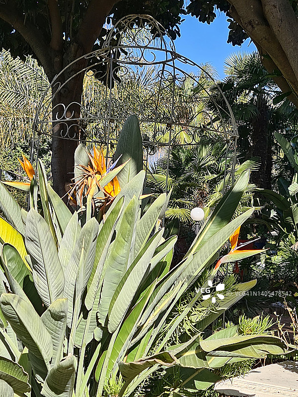 33号花园图片素材