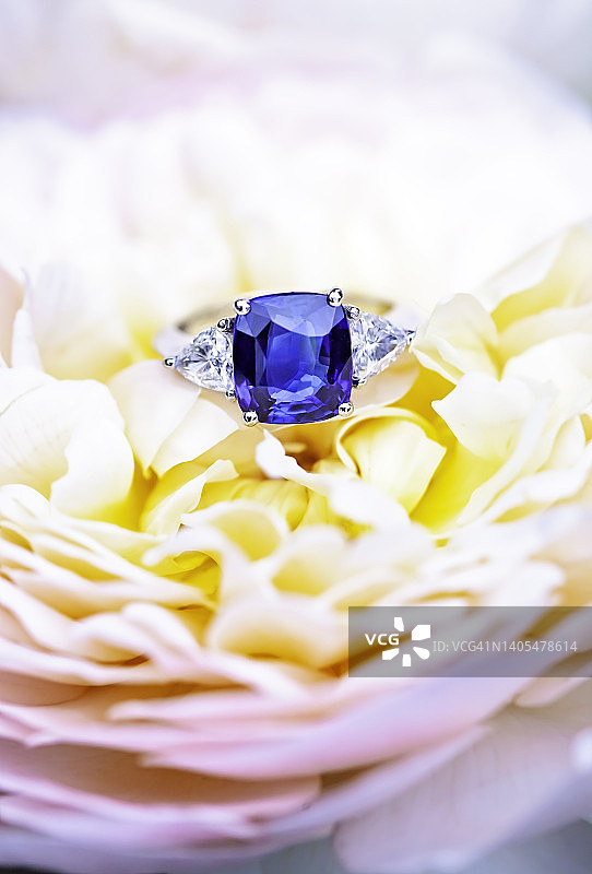 蓝宝石与玫瑰花瓣图片素材