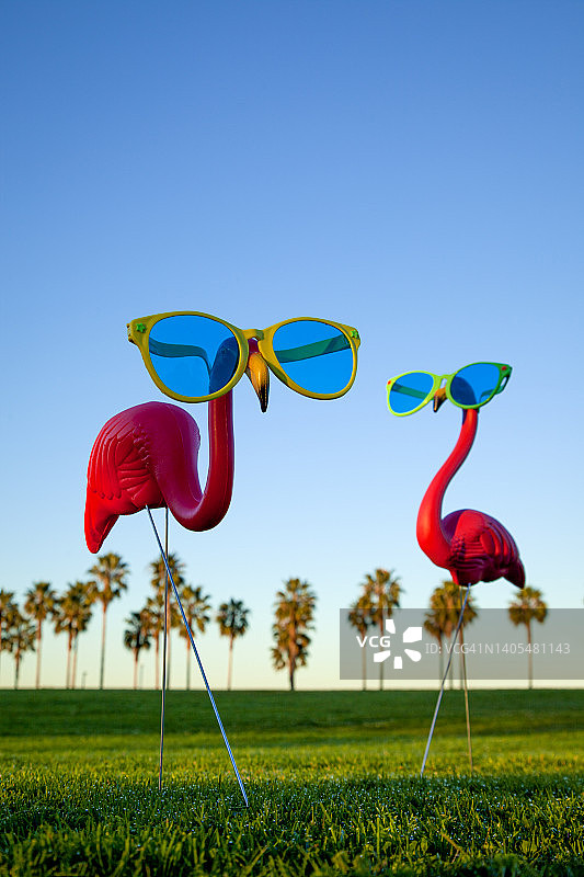 草坪上的两只粉色塑料火烈鸟图片素材