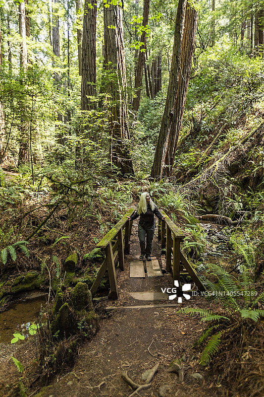 美国，加利福尼亚州，米尔谷，年长妇女徒步通过红木森林附近的塔玛佩斯山图片素材
