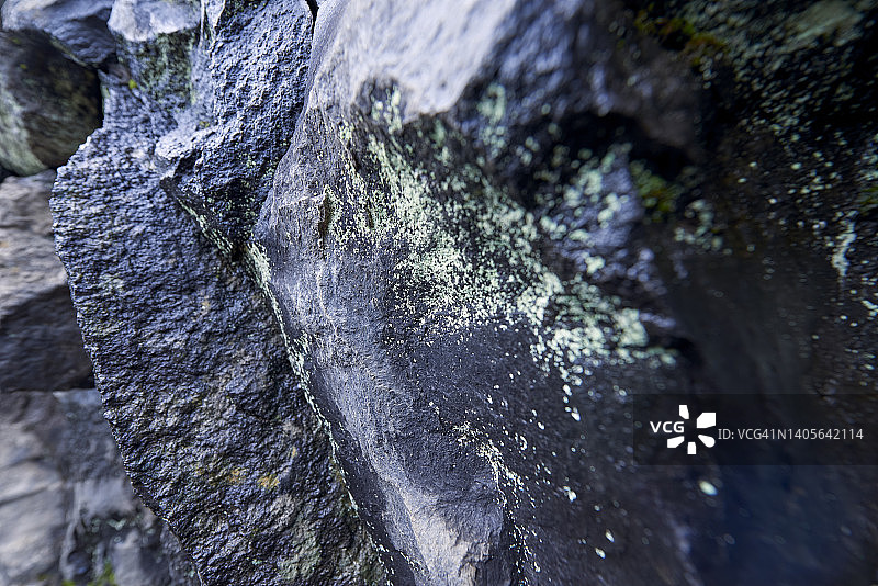 森林中布满地衣的石头图片素材