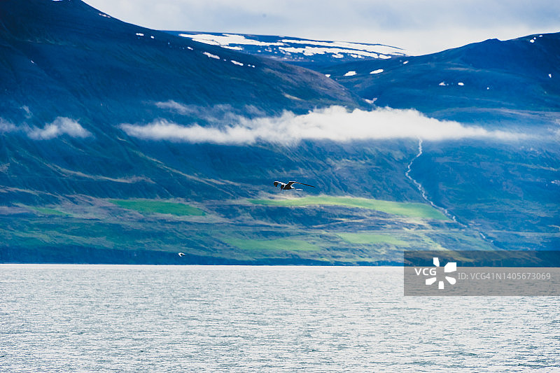 冰岛Eyjafjordur峡湾风光图片素材