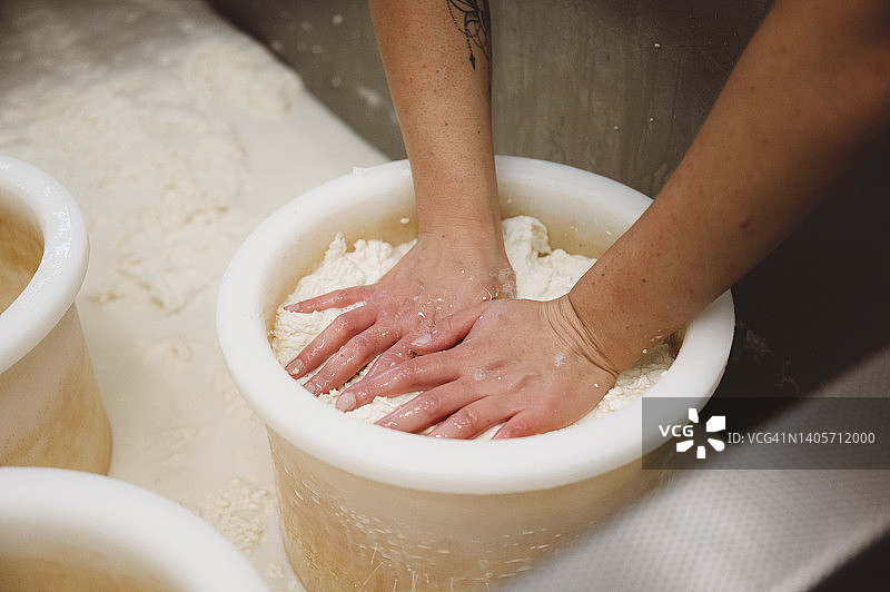 在桶中按压奶酪凝乳的双手图片素材