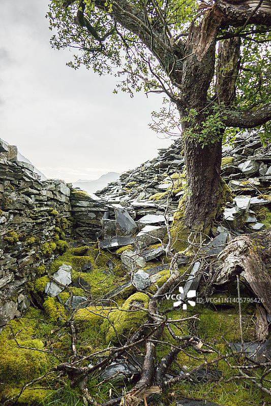 北威尔士格温内斯，布莱奈费斯蒂尼奥格附近的库莫辛采石场遗址图片素材