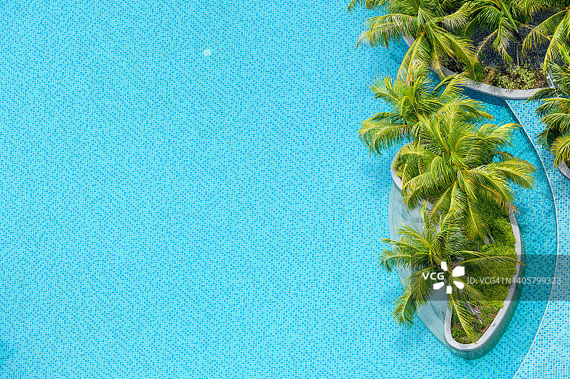 带有热带棕榈树的游泳池图片素材