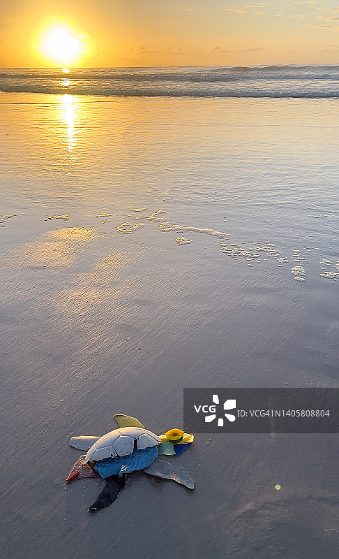 海滩上被冲上来的塑料海龟图片素材