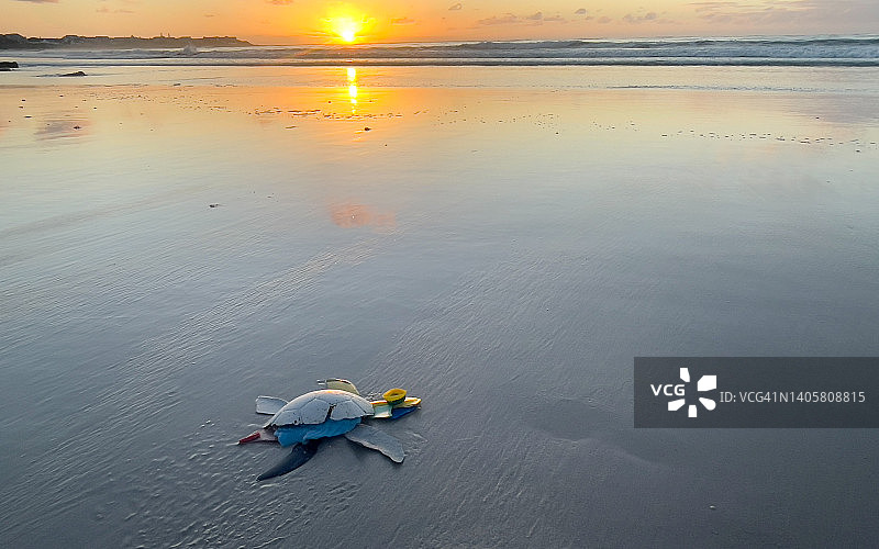 海滩上被冲上来的塑料海龟图片素材