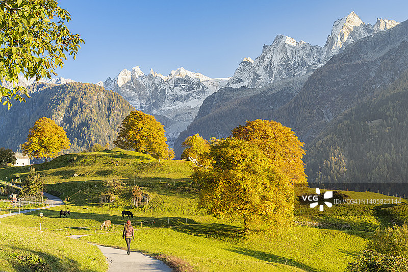 瑞士布雷加利亚山谷秋景图片素材