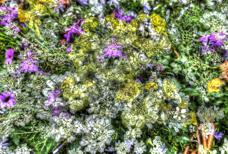 白色黄色紫色屈曲花创意图案图片素材