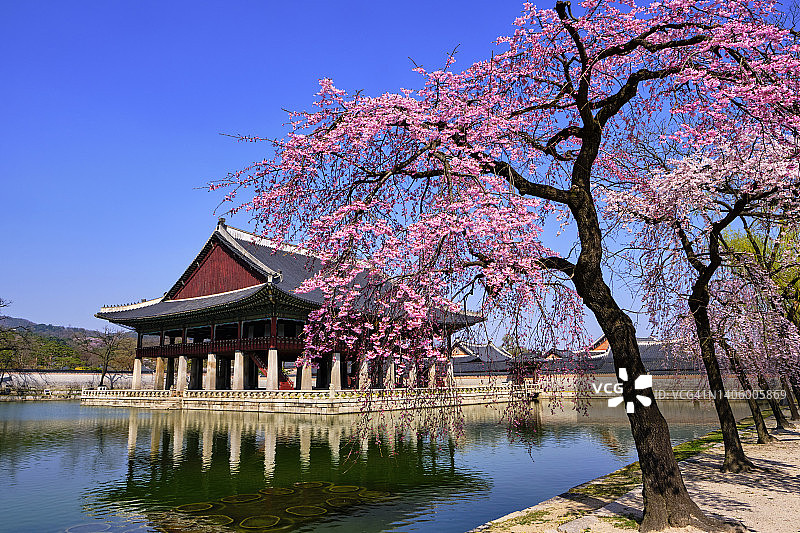 韩国首尔景福宫图片素材