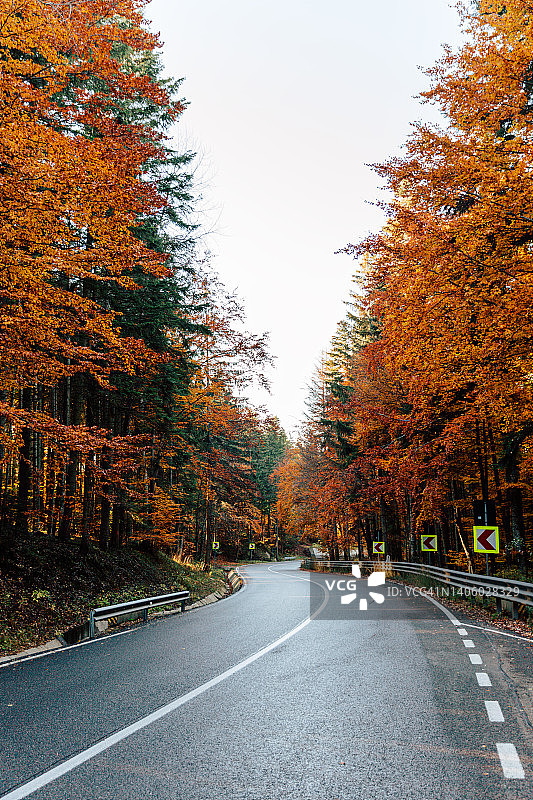罗马尼亚特兰西瓦尼亚秋日森林中的蜿蜒道路图片素材
