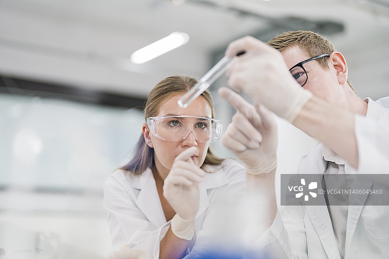 在实验室分析试管中化学物质的科学家图片素材