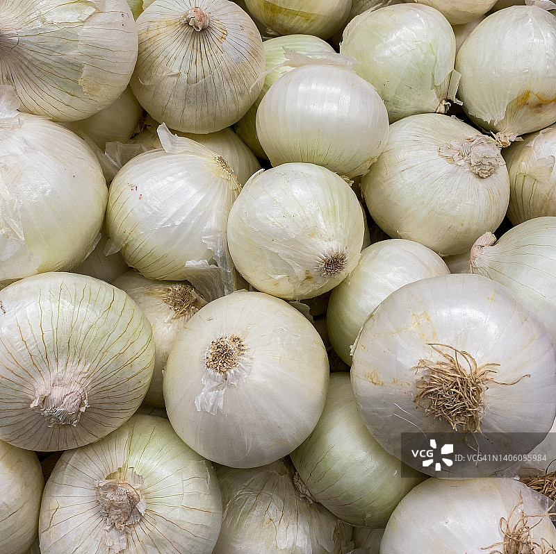 新鲜白色食用洋葱图片素材