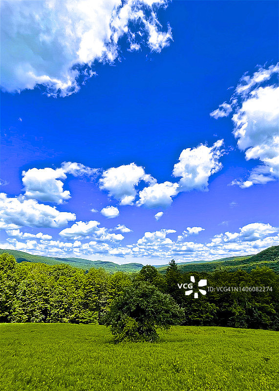 伯克希尔的翠绿草坪、树木和山丘景色图片素材