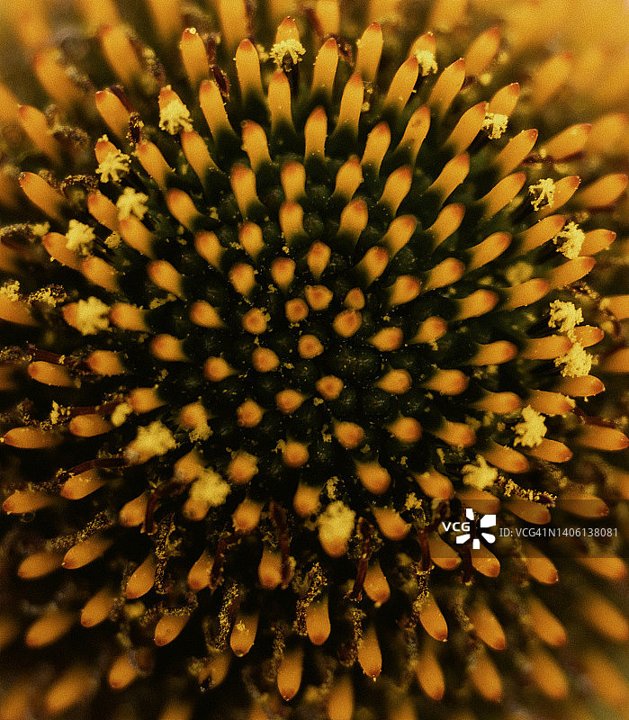 微距自然风光图片素材