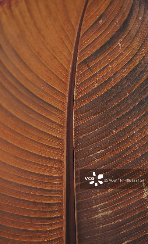 微距自然风光图片素材