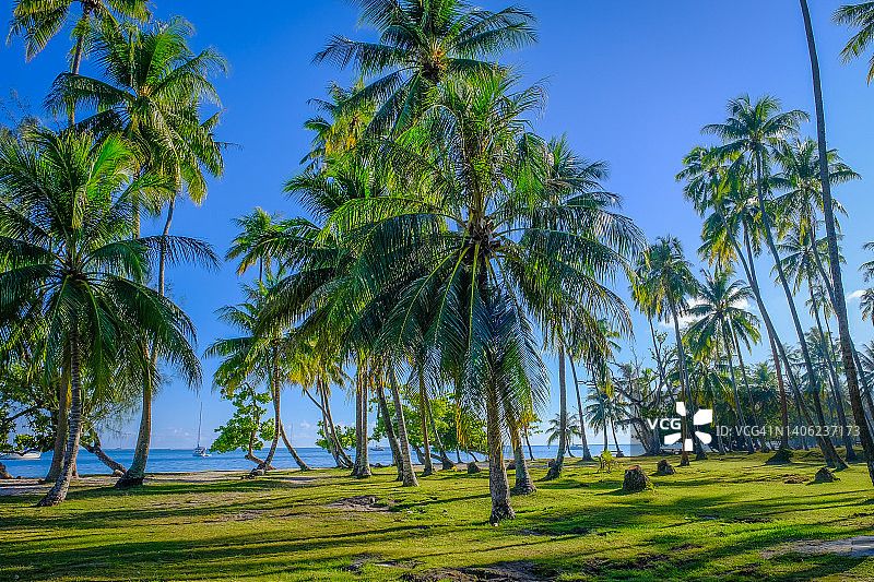 法属波利尼西亚茉莉雅岛海滩的风景图片素材