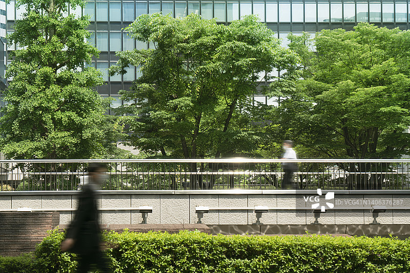 通勤上班的商人和新鲜的绿色植物图片素材