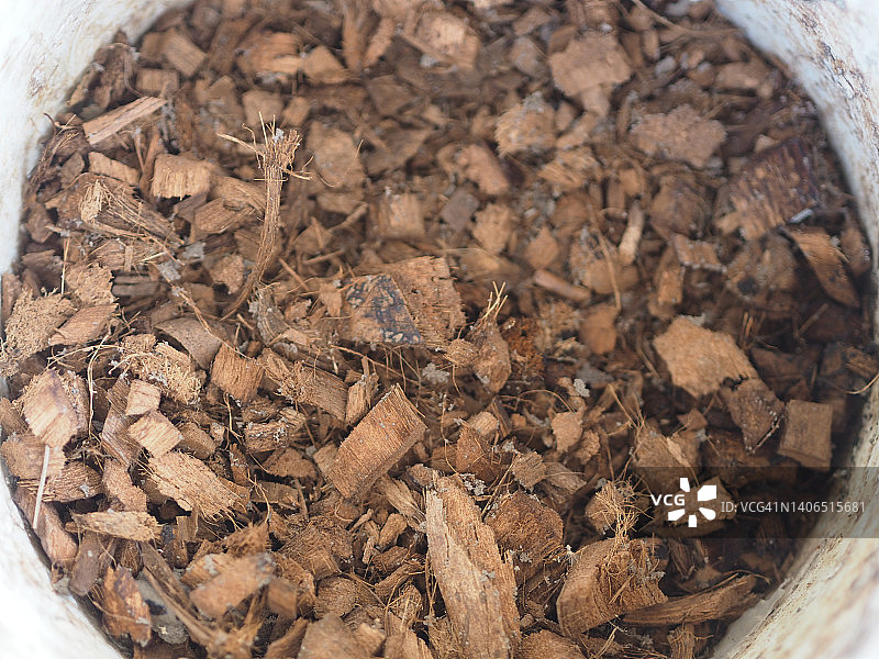 棕色椰子片自然背景图片素材