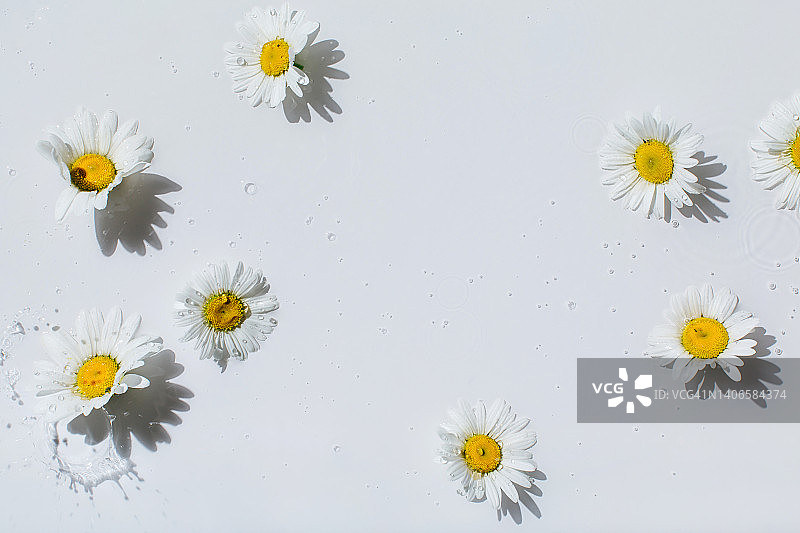 漂浮在水面的白色花朵与花苞，水波荡漾，水花飞溅。水疗与化妆品概念背景，留有文案空间图片素材