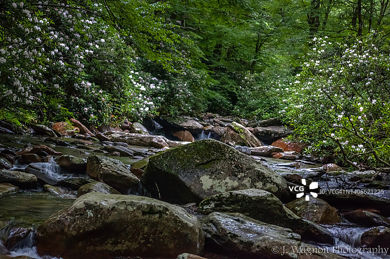 烟雾山脉的春天图片素材