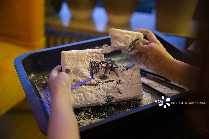 儿童挖掘恐龙化石骨骼肩部视角照片图片素材